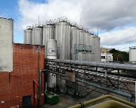 Proces przetwarzania piwa ELLINGHAUS Fermentation equipment