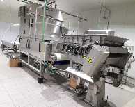Other processing machines - RAYTEC - Spray S250 Blueight