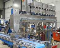 Inne maszyny do napełniania i pakowania - NEWTEC - 2009 PCB 2B FFS for food bags