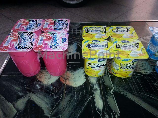 ULMA - Dairy Pack TFD-300 - Maquinaria usada