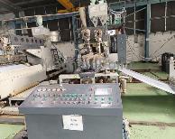 Línea de extrusión film de burbuja YEN SHENG  YSW-100T
