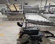 Wrap Around Kartonverpackungsmaschine PACKMANN 60TLF30ZO
